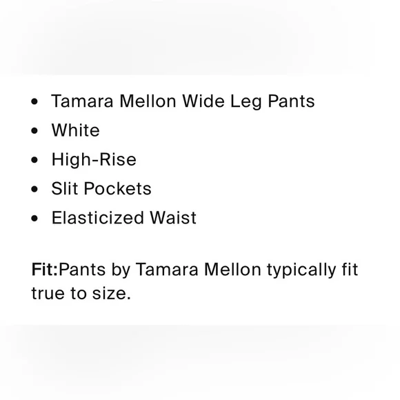 Tamara Mellon Elegant Cream Velvet Wide-Leg Pants - Picture 8 of 8